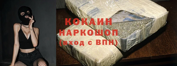 молекула духа Кулебаки