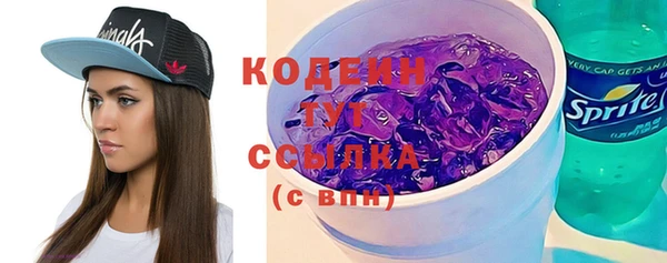 молекула духа Кулебаки