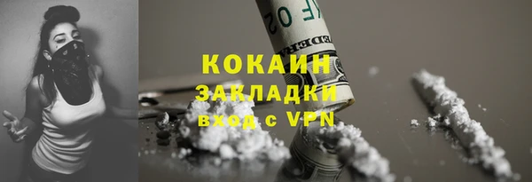 молекула духа Кулебаки