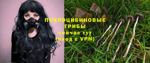 мет Кукмор
