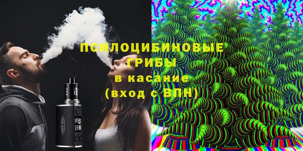 молекула духа Кулебаки