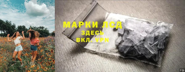 молекула духа Кулебаки