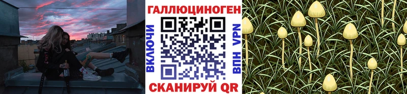 Галлюциногенные грибы Psilocybine cubensis  Купить  Пугачёв 